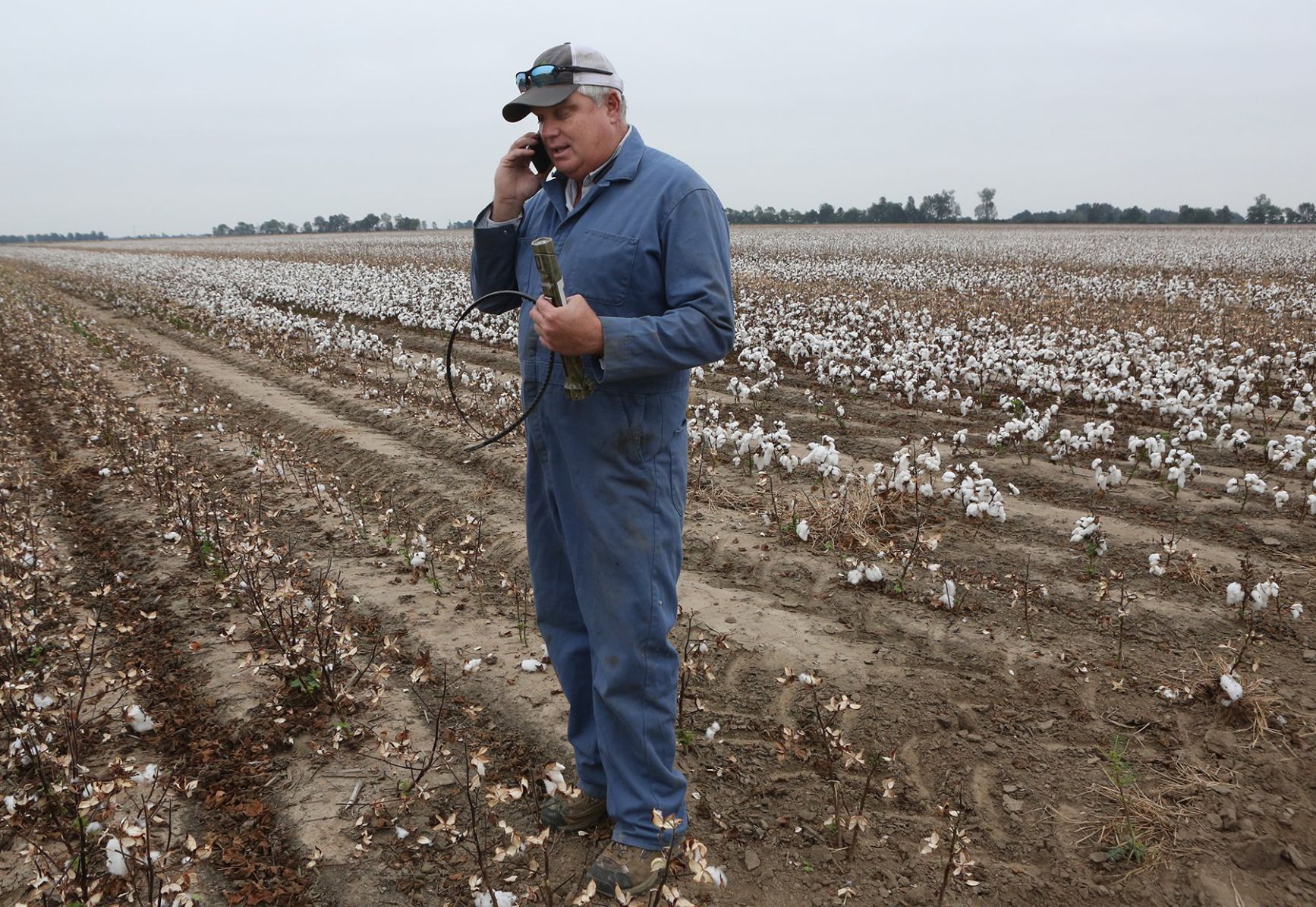 Farmers on Both Sides of Dicamba Herbicide Issue
